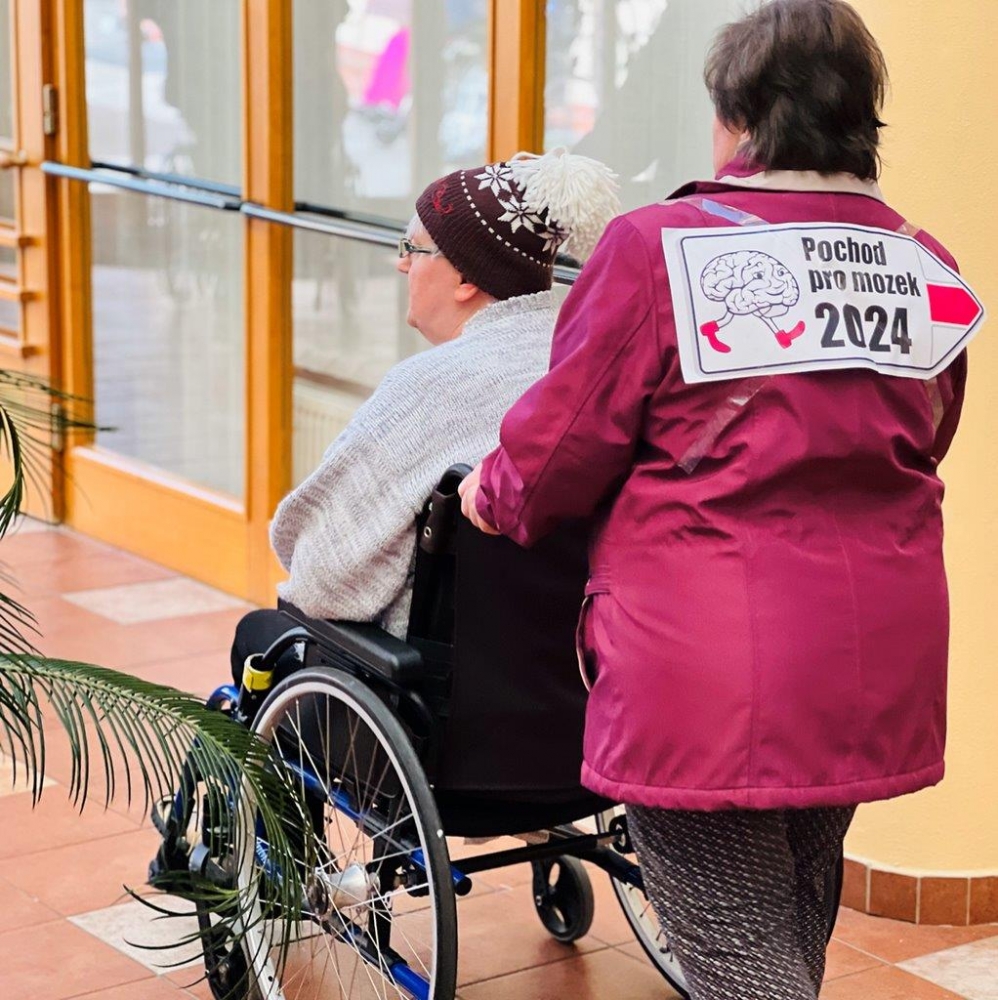 Pochod pro mozek